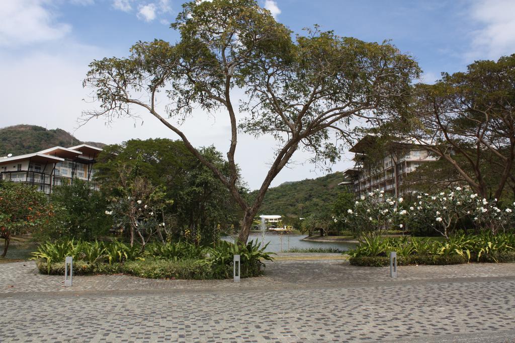Апартаменты Unit 507 Pico De Loro Насугбу Экстерьер фото