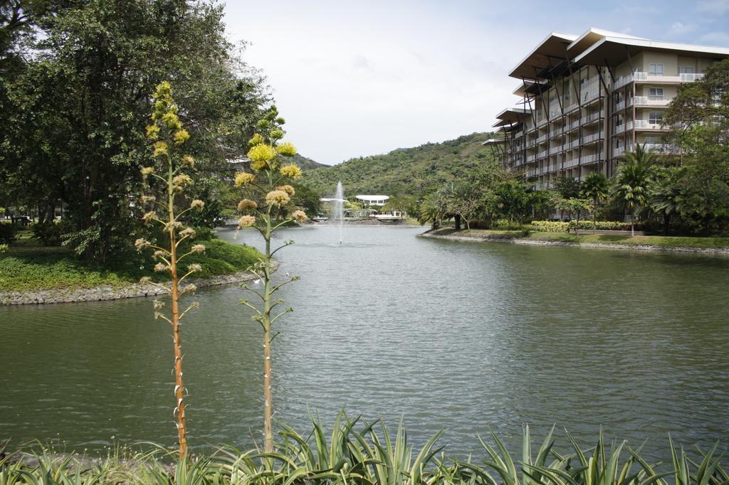 Апартаменты Unit 507 Pico De Loro Насугбу Экстерьер фото